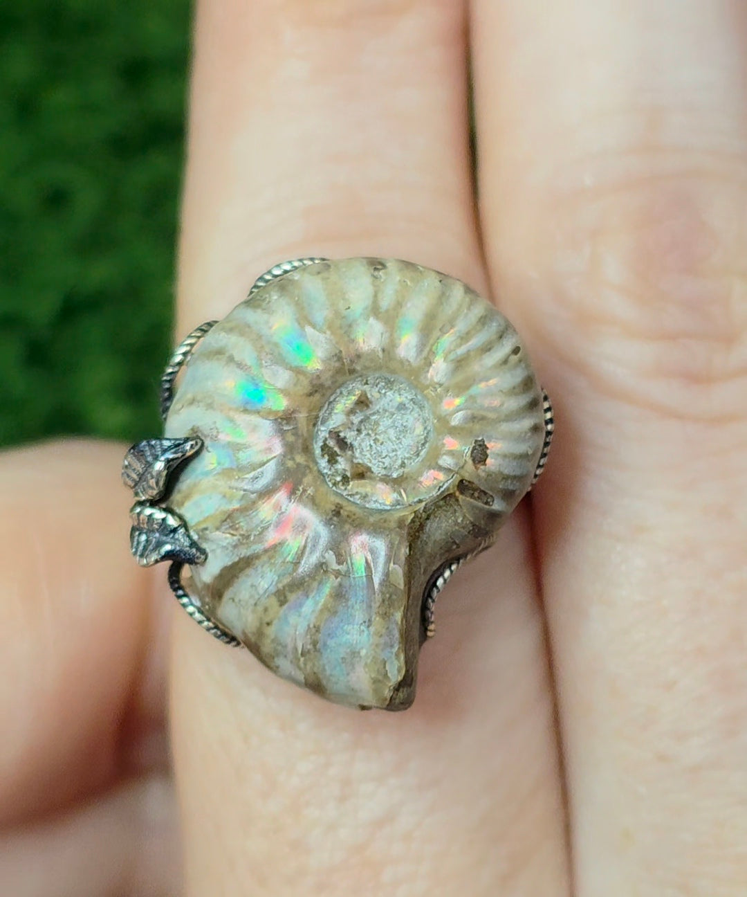 Ammonite Ring A