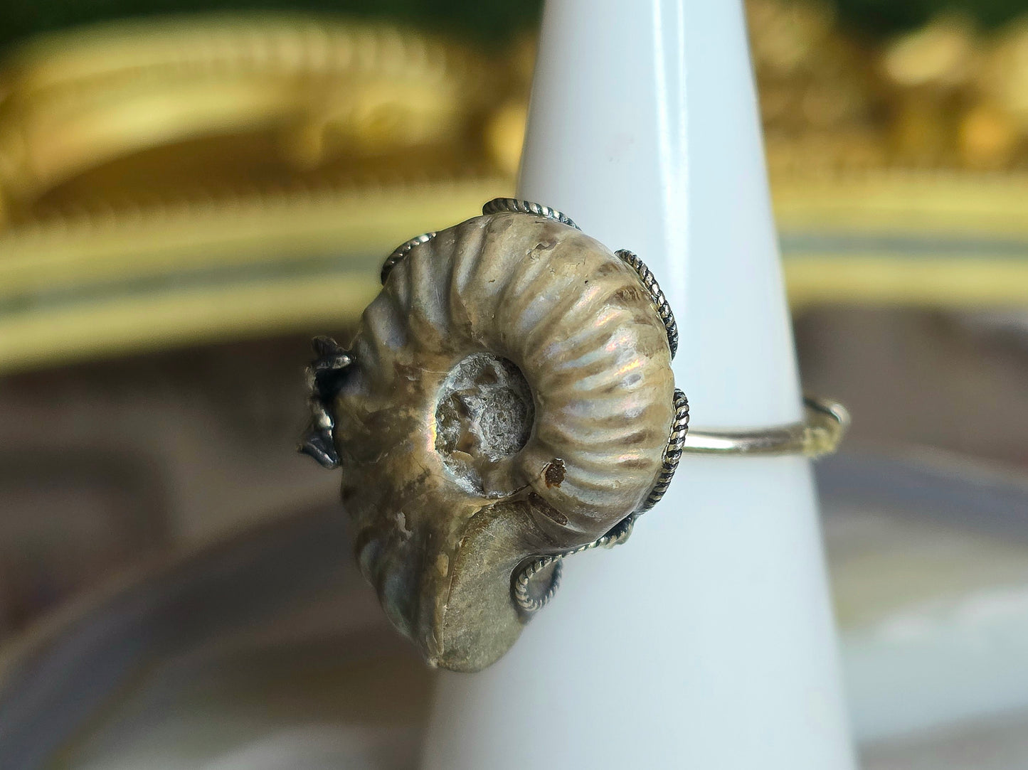 Ammonite Ring A