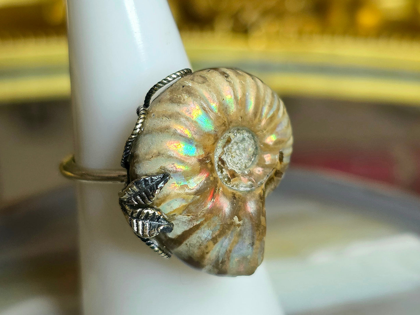 Ammonite Ring A