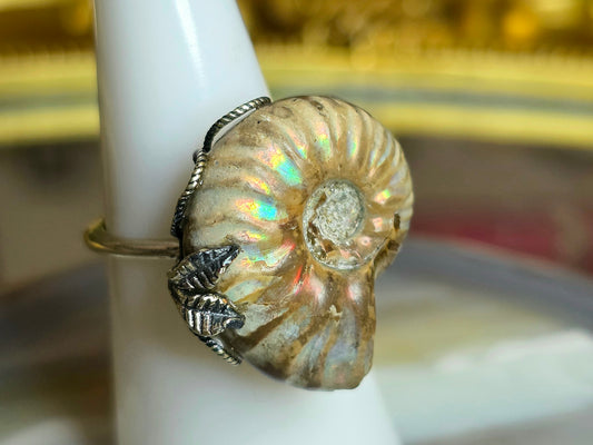 Ammonite Ring A