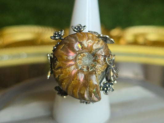 Ammonite Ring B