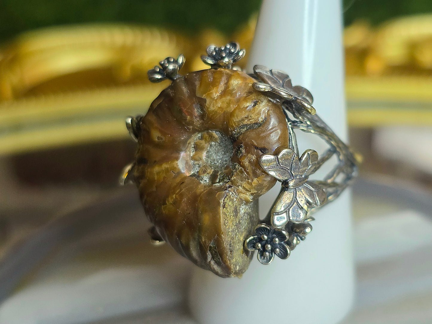 Ammonite Ring B