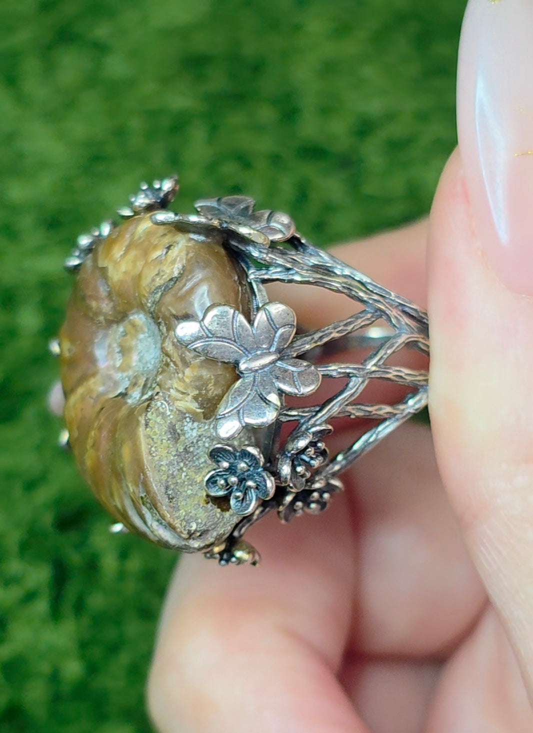 Ammonite Ring B
