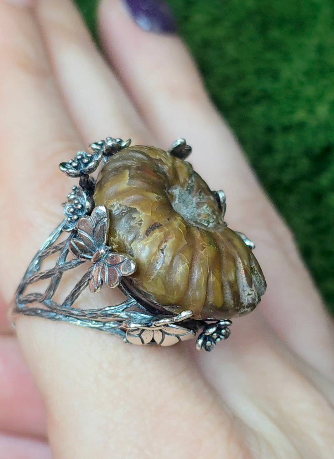 Ammonite Ring B
