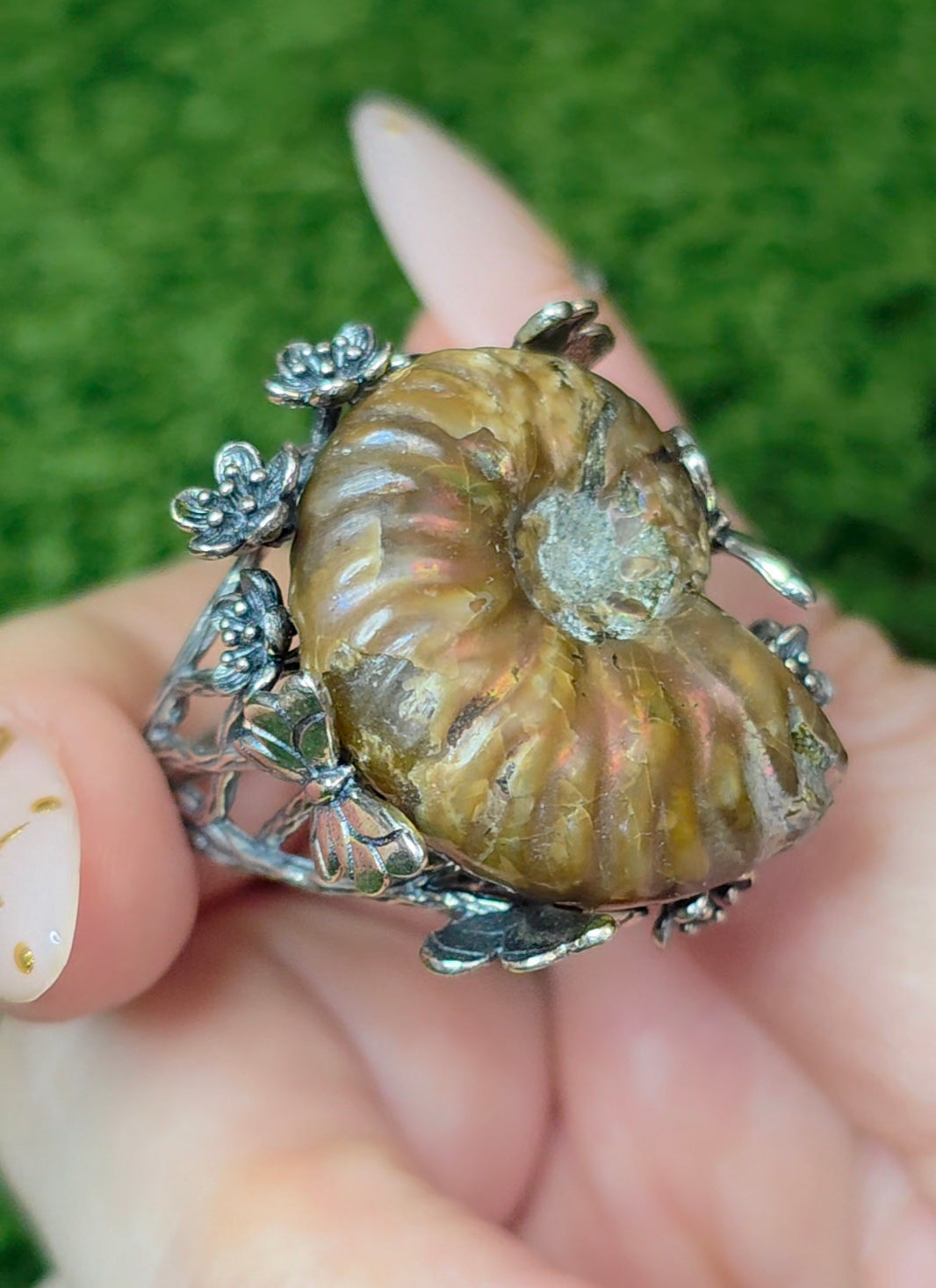 Ammonite Ring B