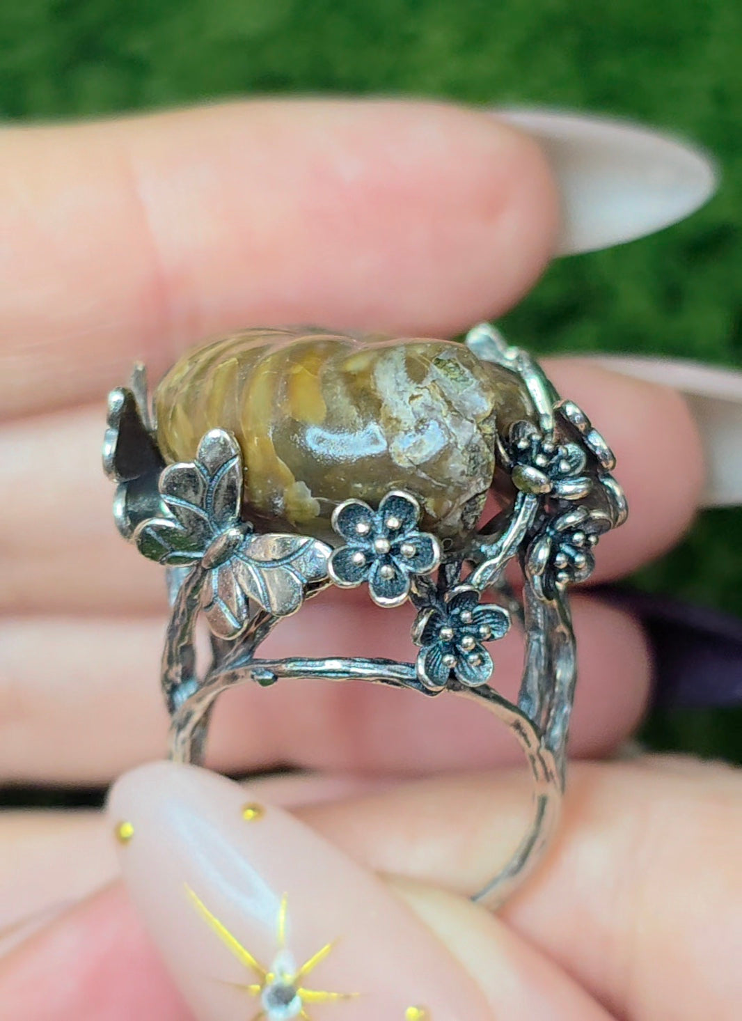 Ammonite Ring B