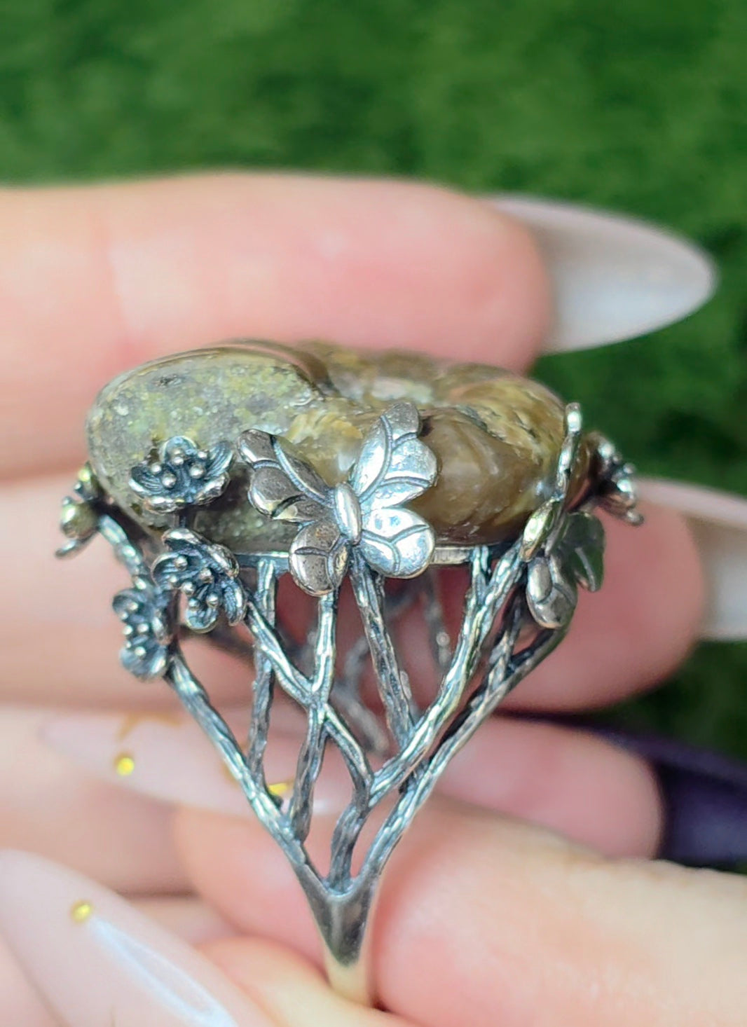 Ammonite Ring B