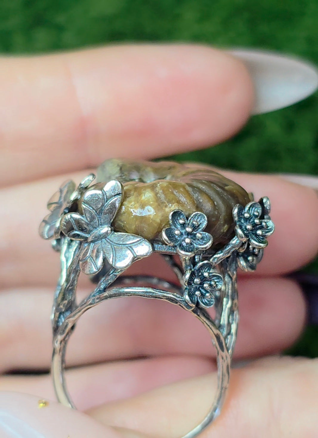 Ammonite Ring B