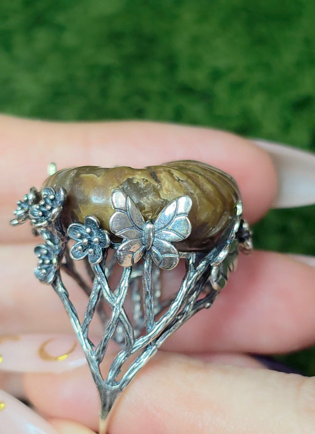 Ammonite Ring B