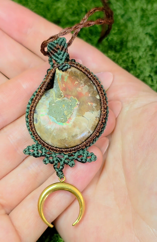 Adjustable Ammonite Necklace A
