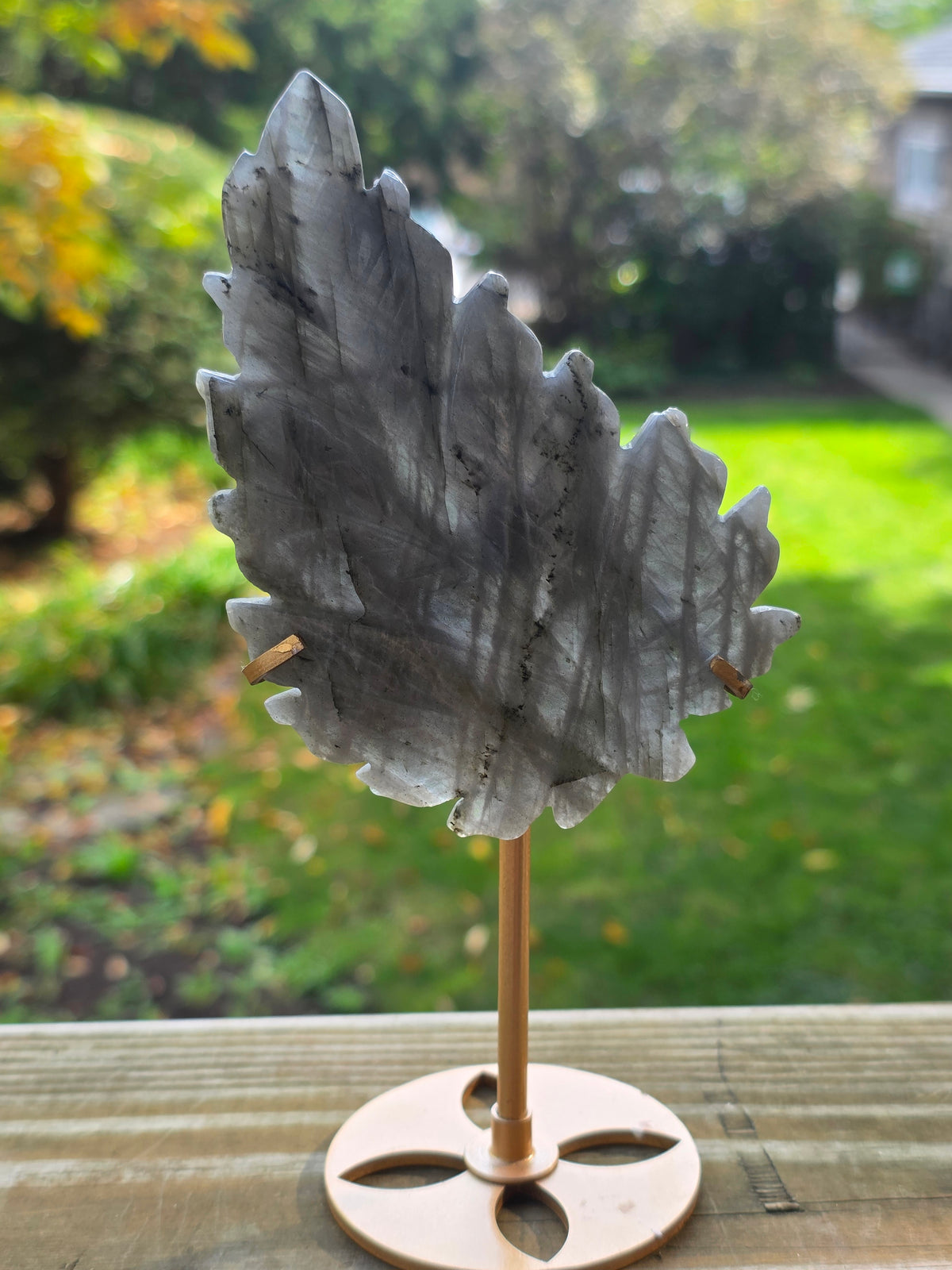 Rainbow Labradorite Leaf on Stand A