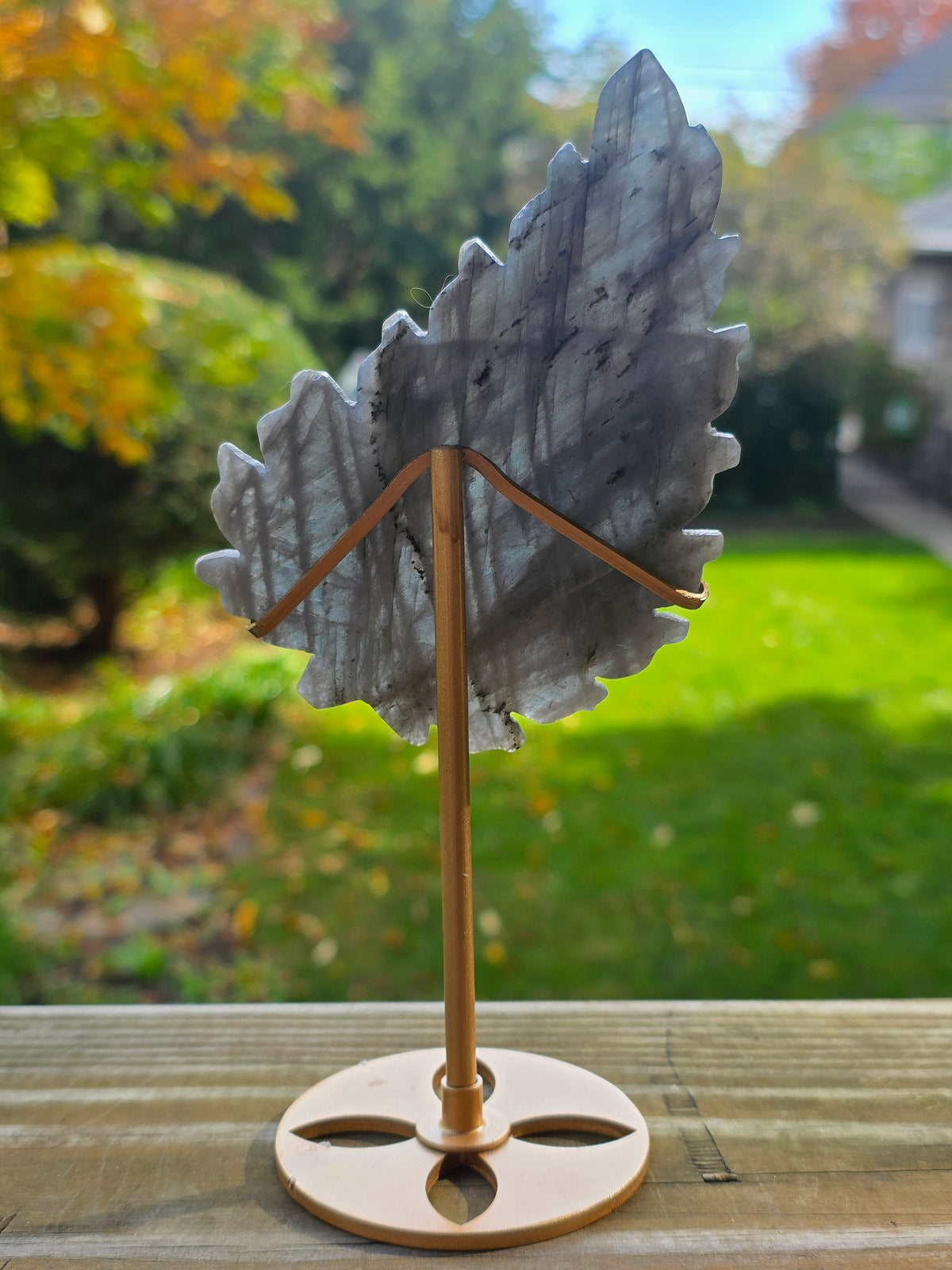 Rainbow Labradorite Leaf on Stand A
