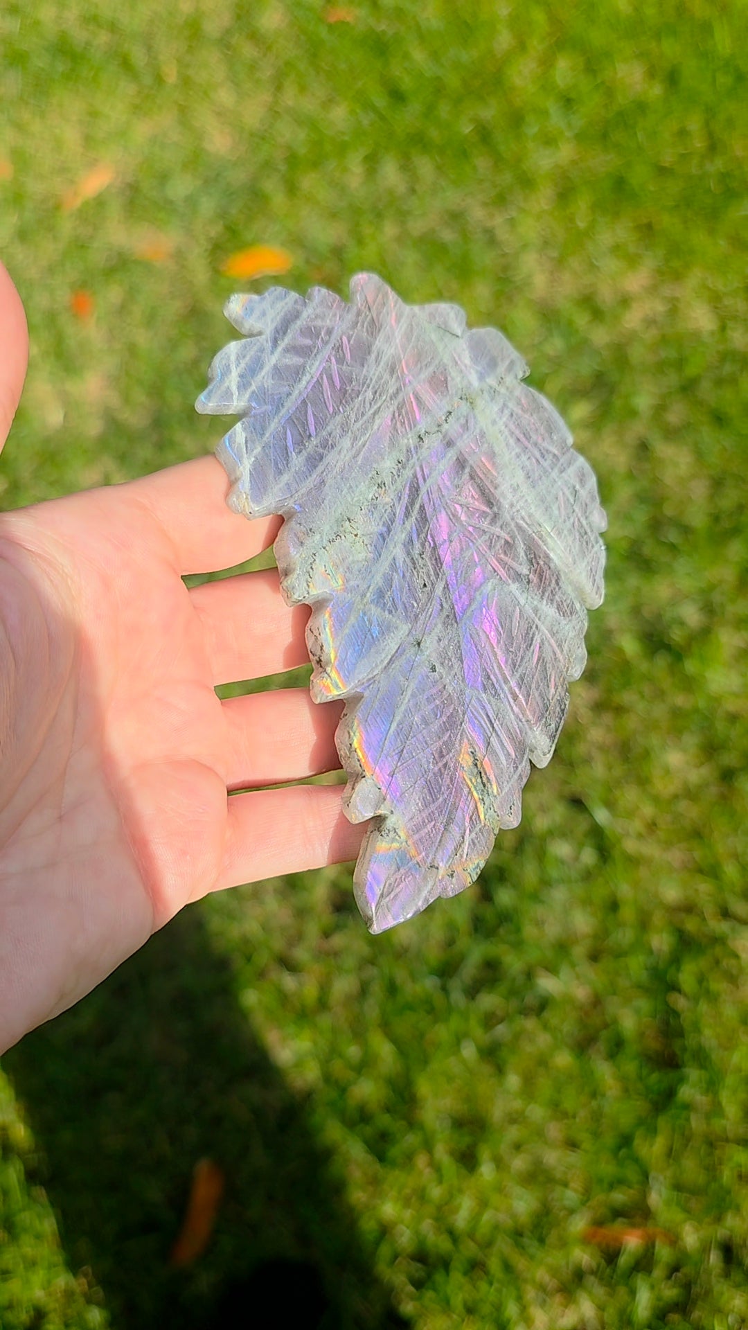 Rainbow Labradorite Leaf on Stand A