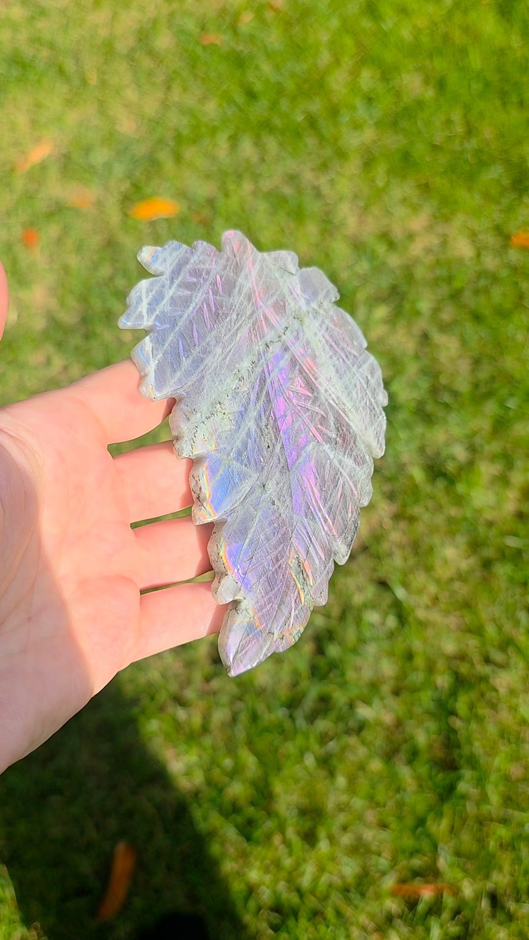 Rainbow Labradorite Leaf on Stand A