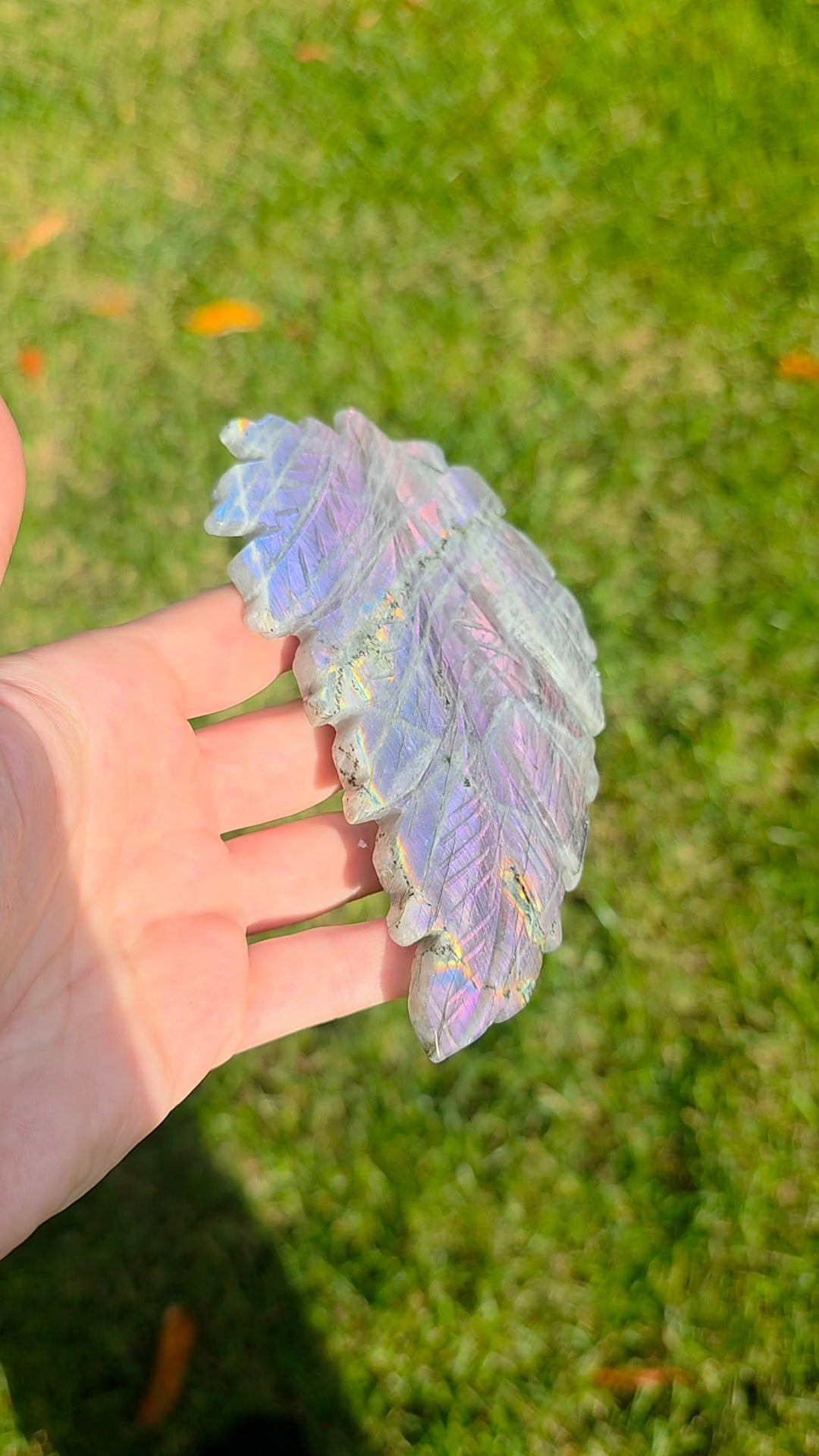Rainbow Labradorite Leaf on Stand A