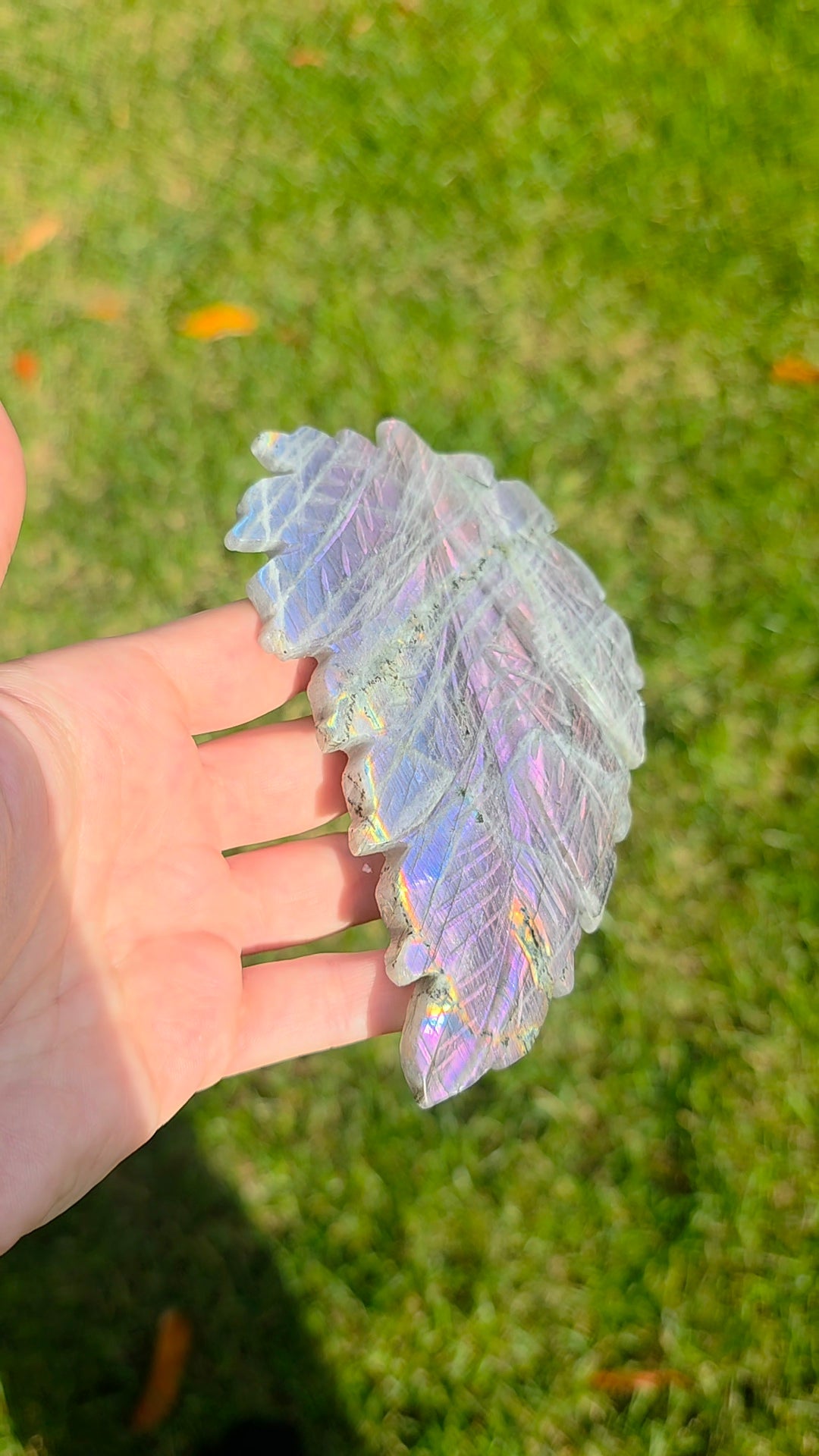 Rainbow Labradorite Leaf on Stand A