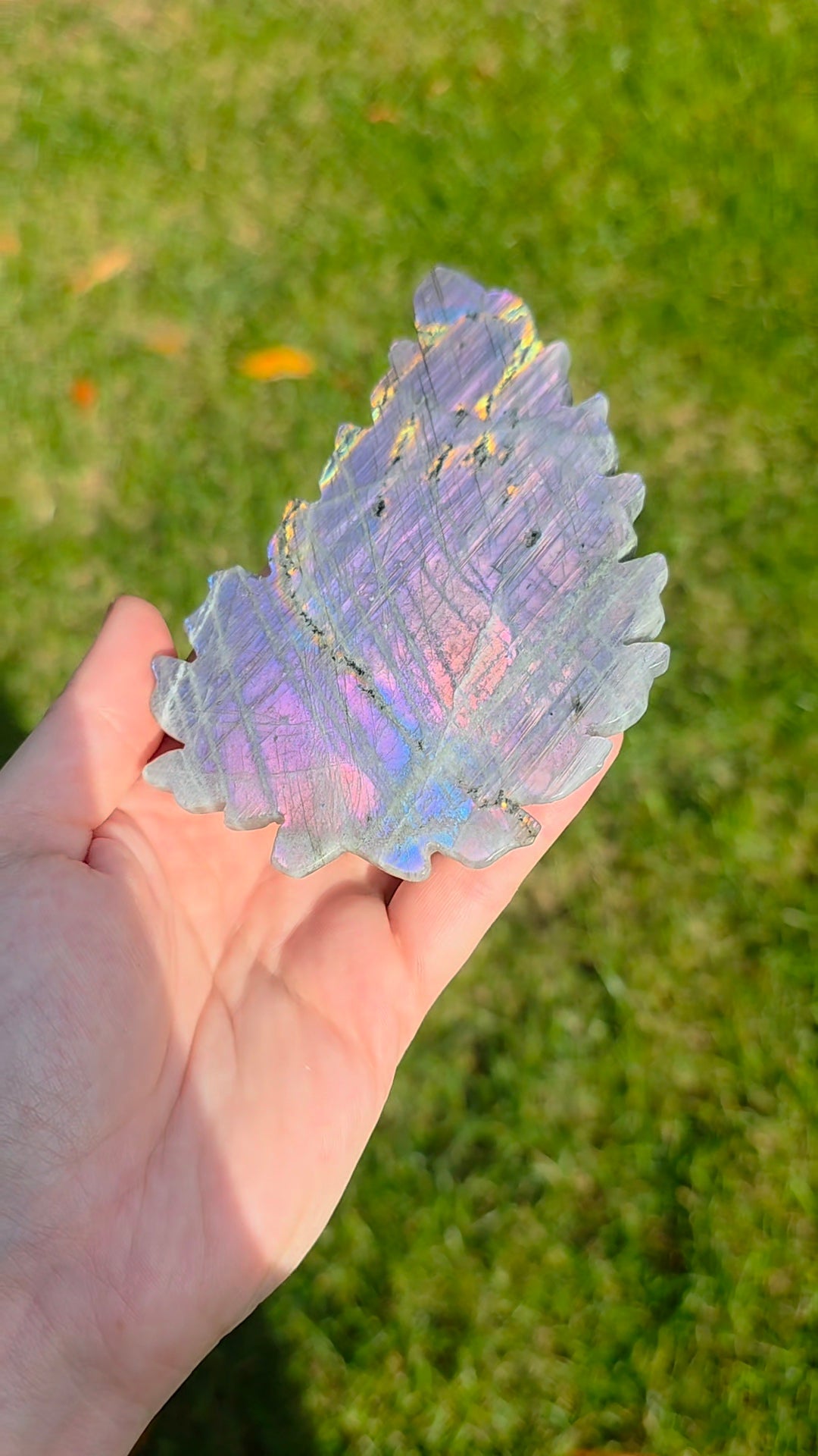 Rainbow Labradorite Leaf on Stand A