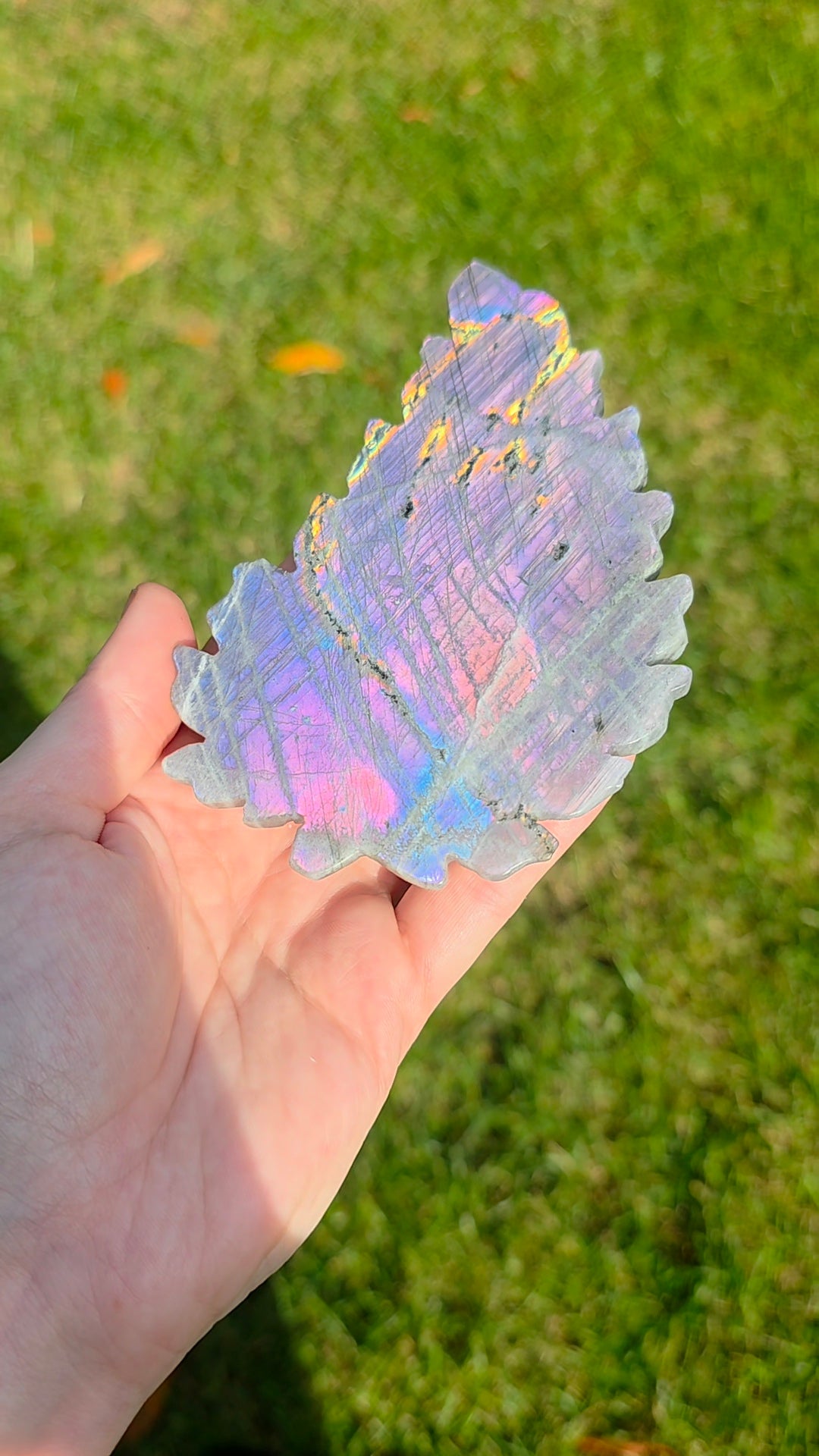 Rainbow Labradorite Leaf on Stand A
