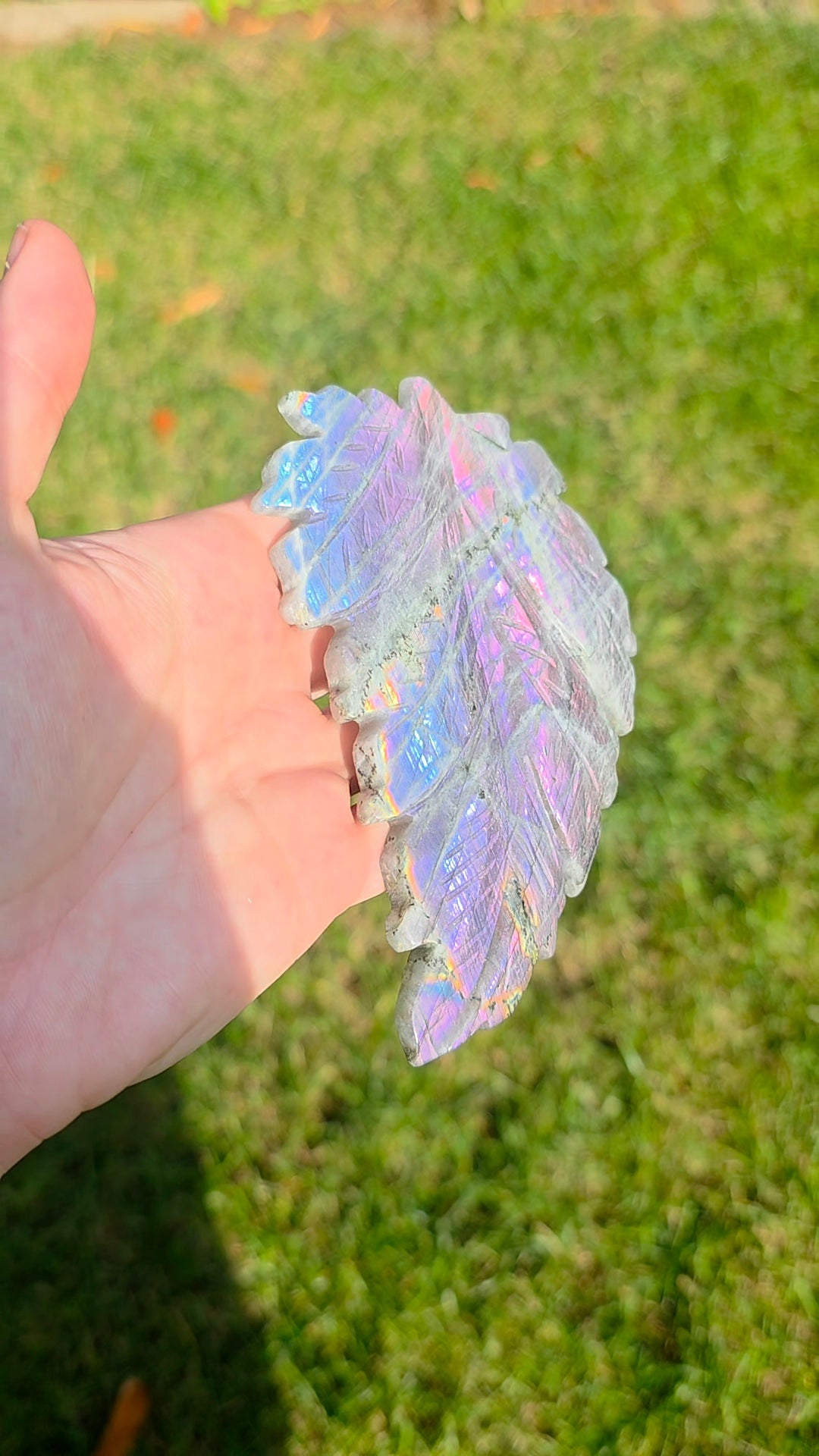 Rainbow Labradorite Leaf on Stand A