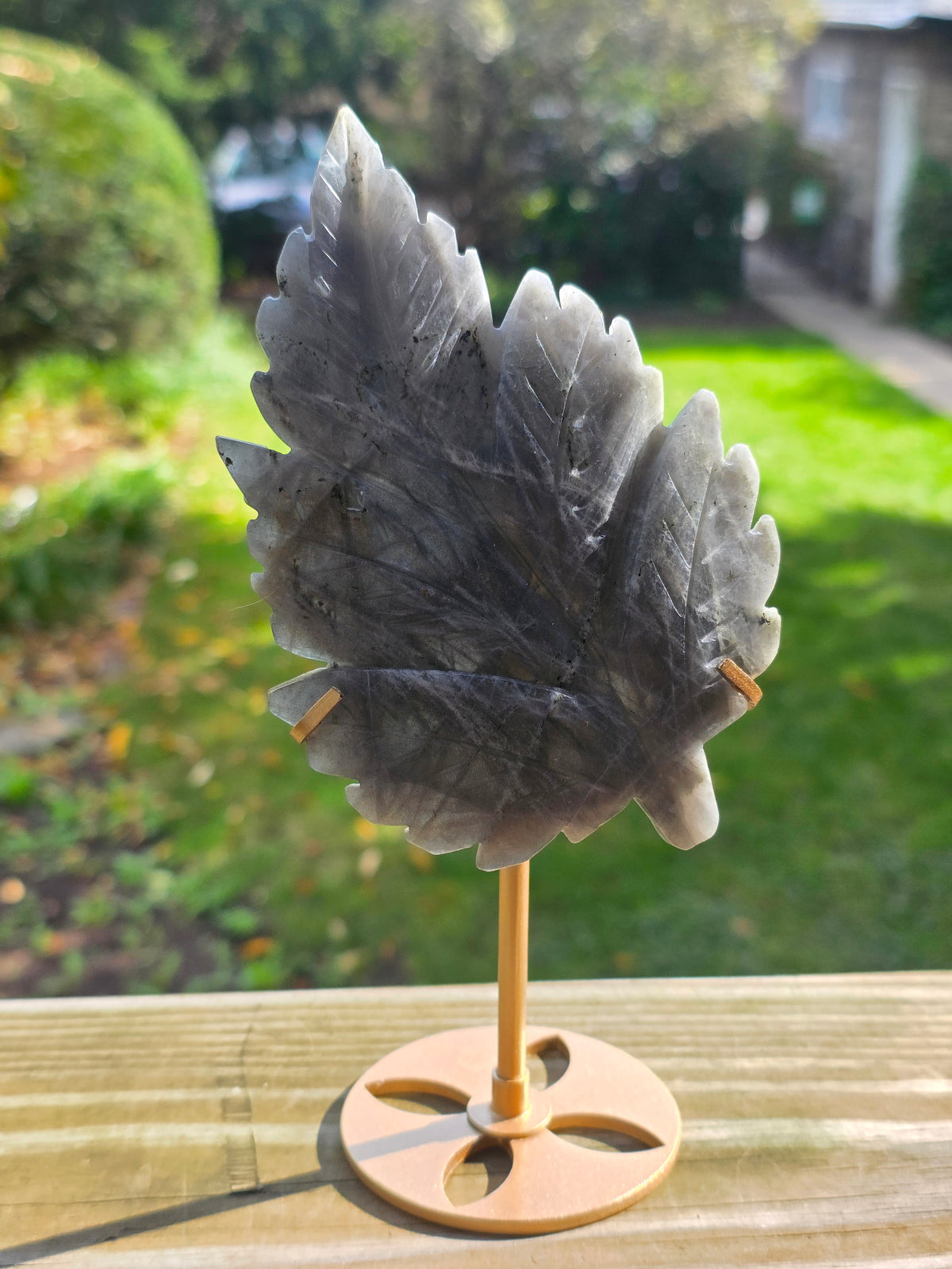 Rainbow Labradorite Leaf on Stand C