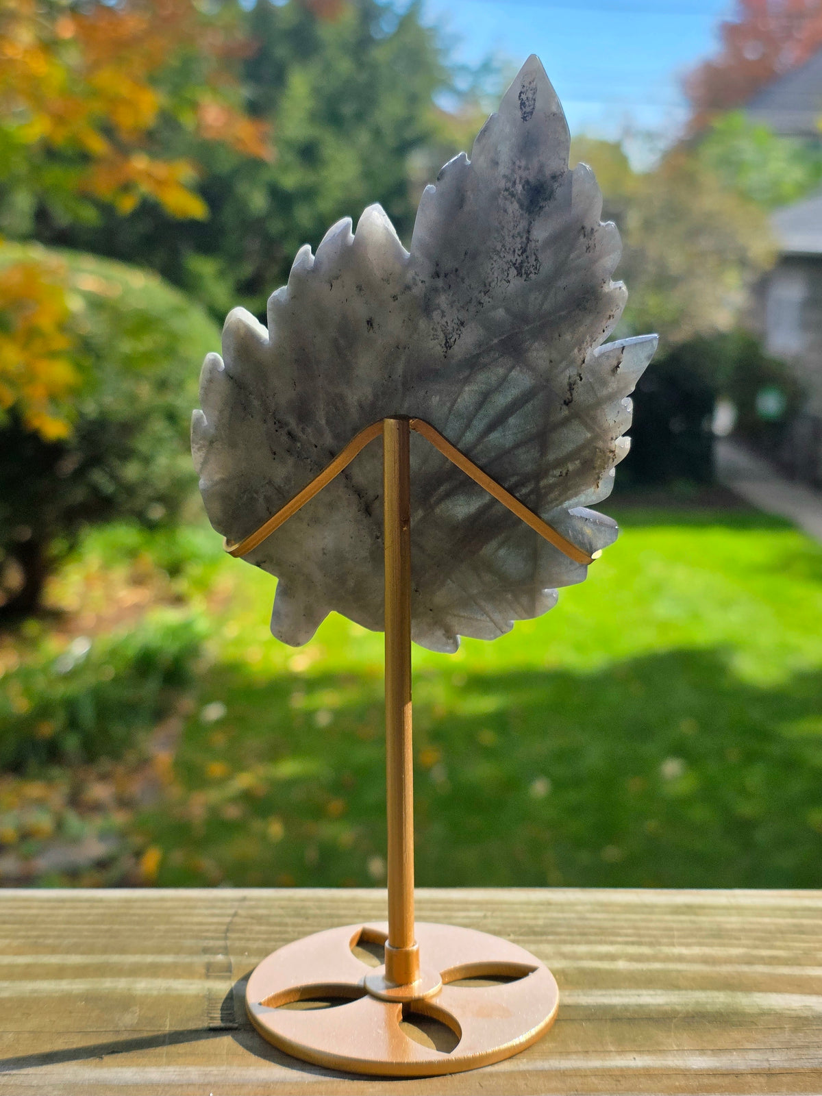 Rainbow Labradorite Leaf on Stand C