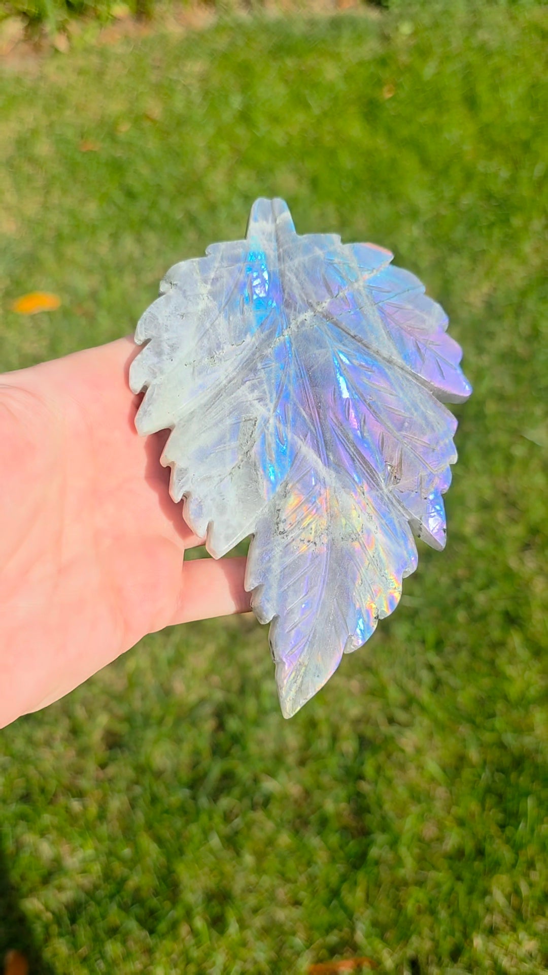 Rainbow Labradorite Leaf on Stand C