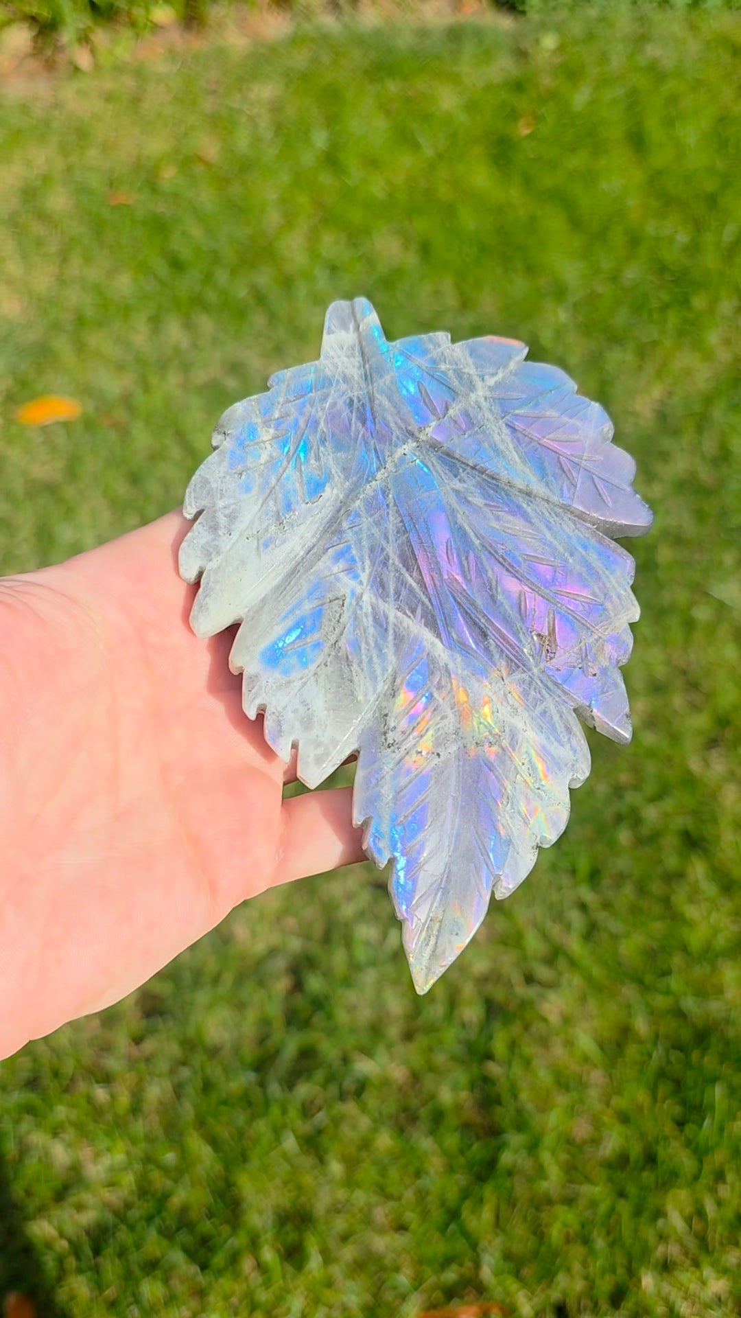 Rainbow Labradorite Leaf on Stand C