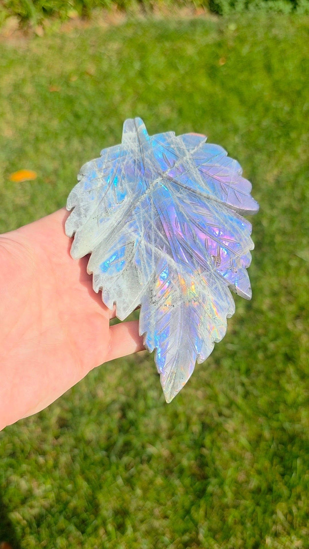 Rainbow Labradorite Leaf on Stand C