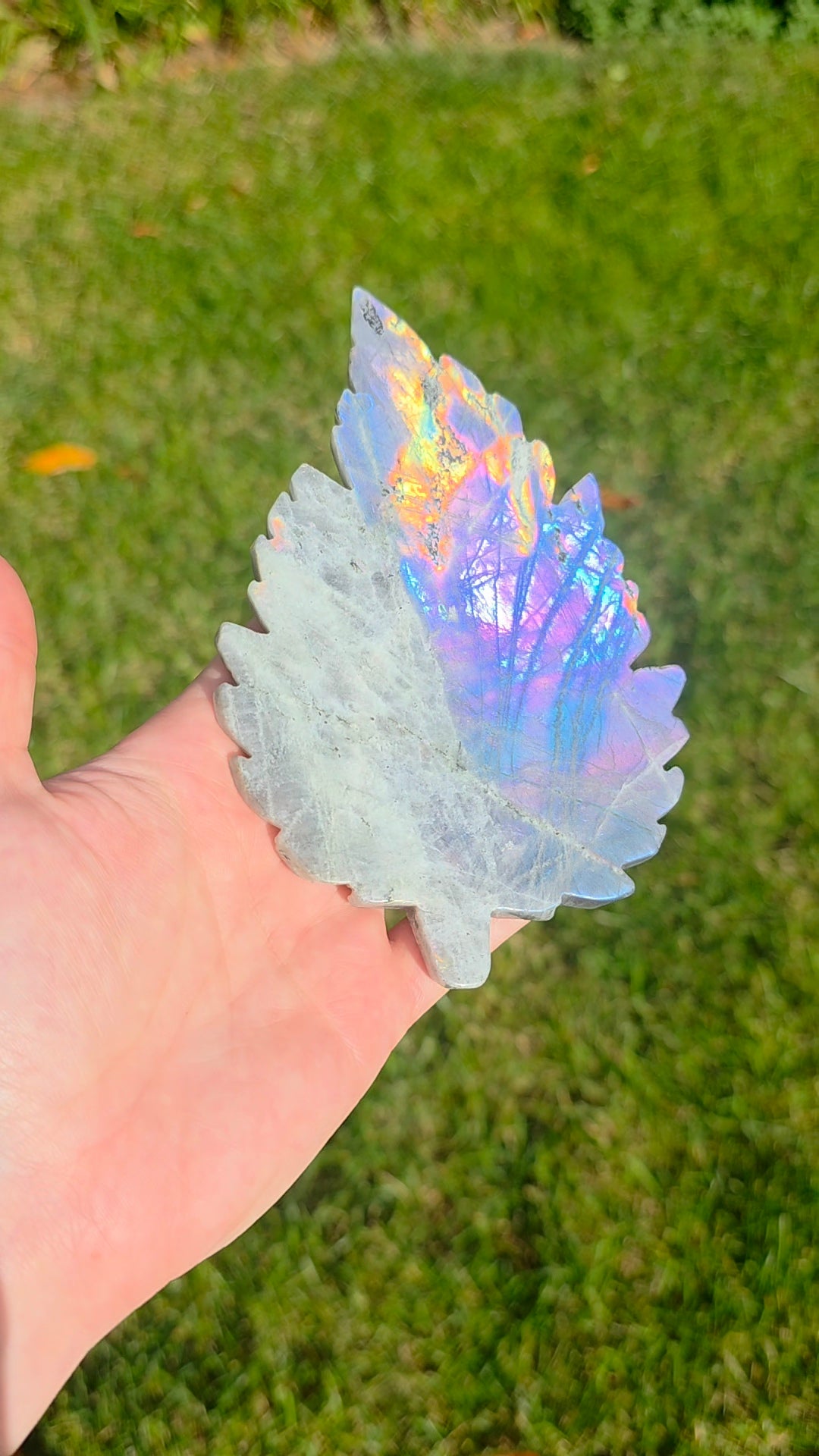 Rainbow Labradorite Leaf on Stand C