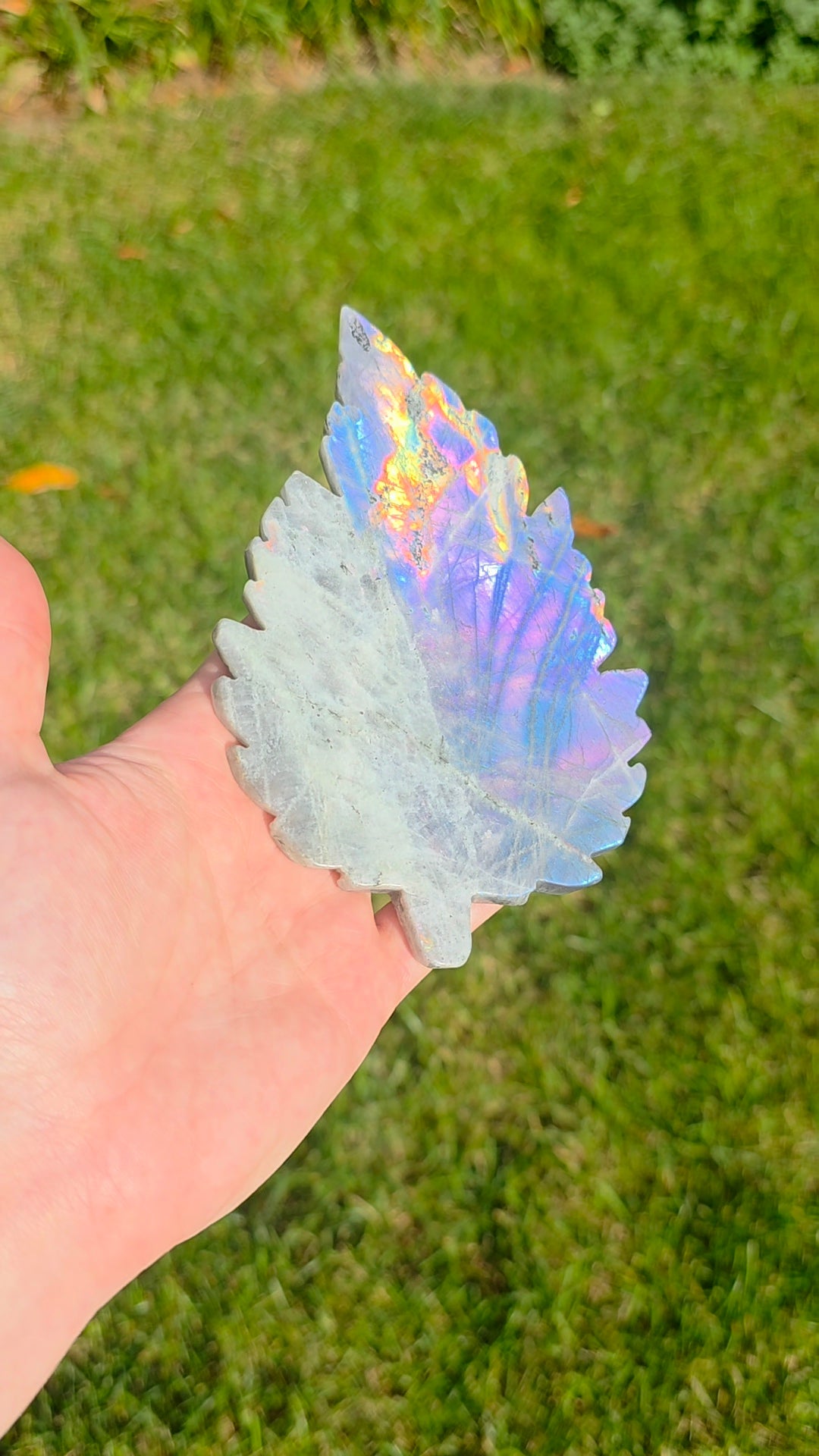 Rainbow Labradorite Leaf on Stand C