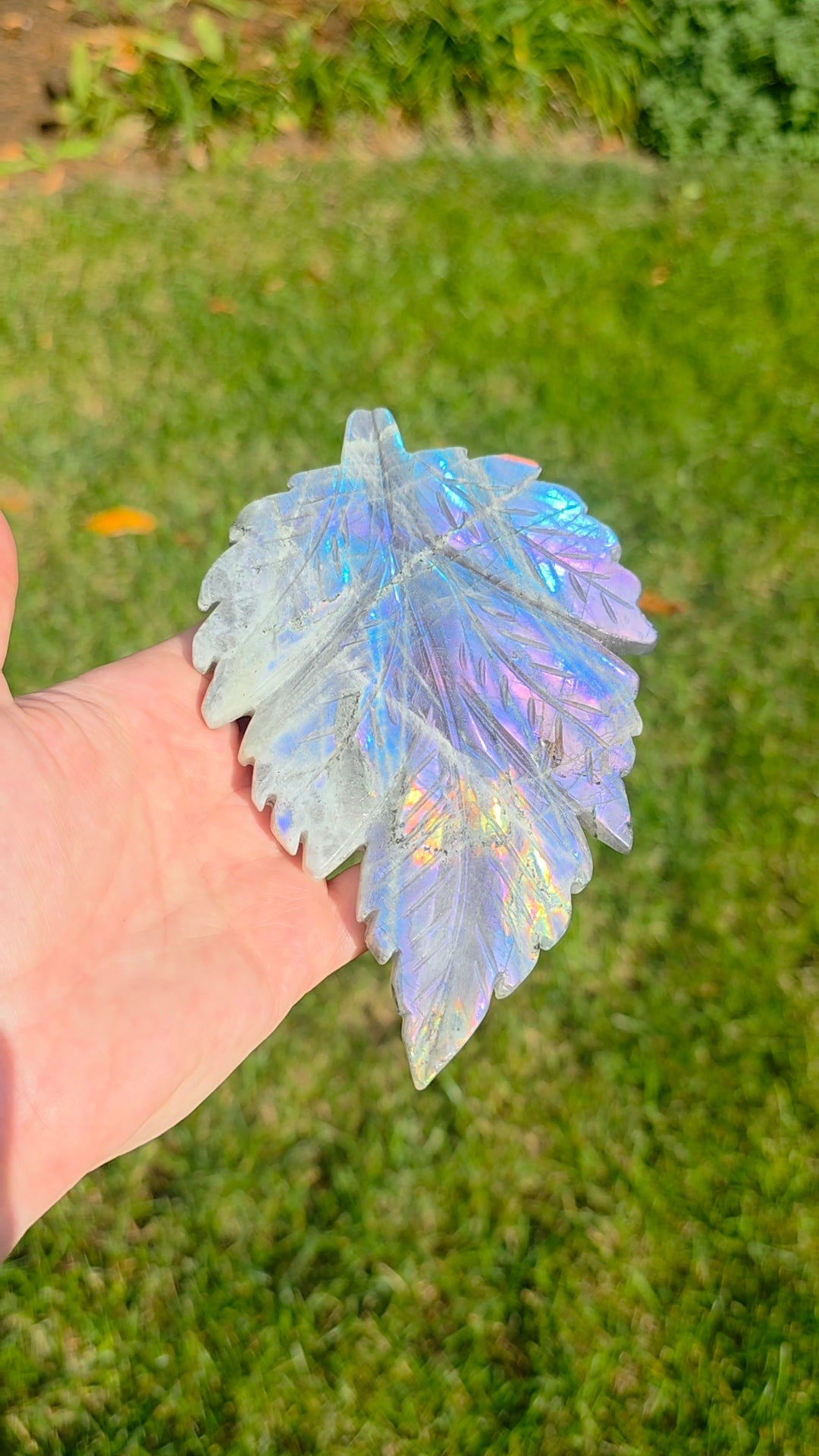 Rainbow Labradorite Leaf on Stand C
