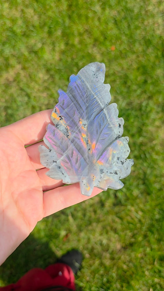 Rainbow Labradorite Leaf on Stand D