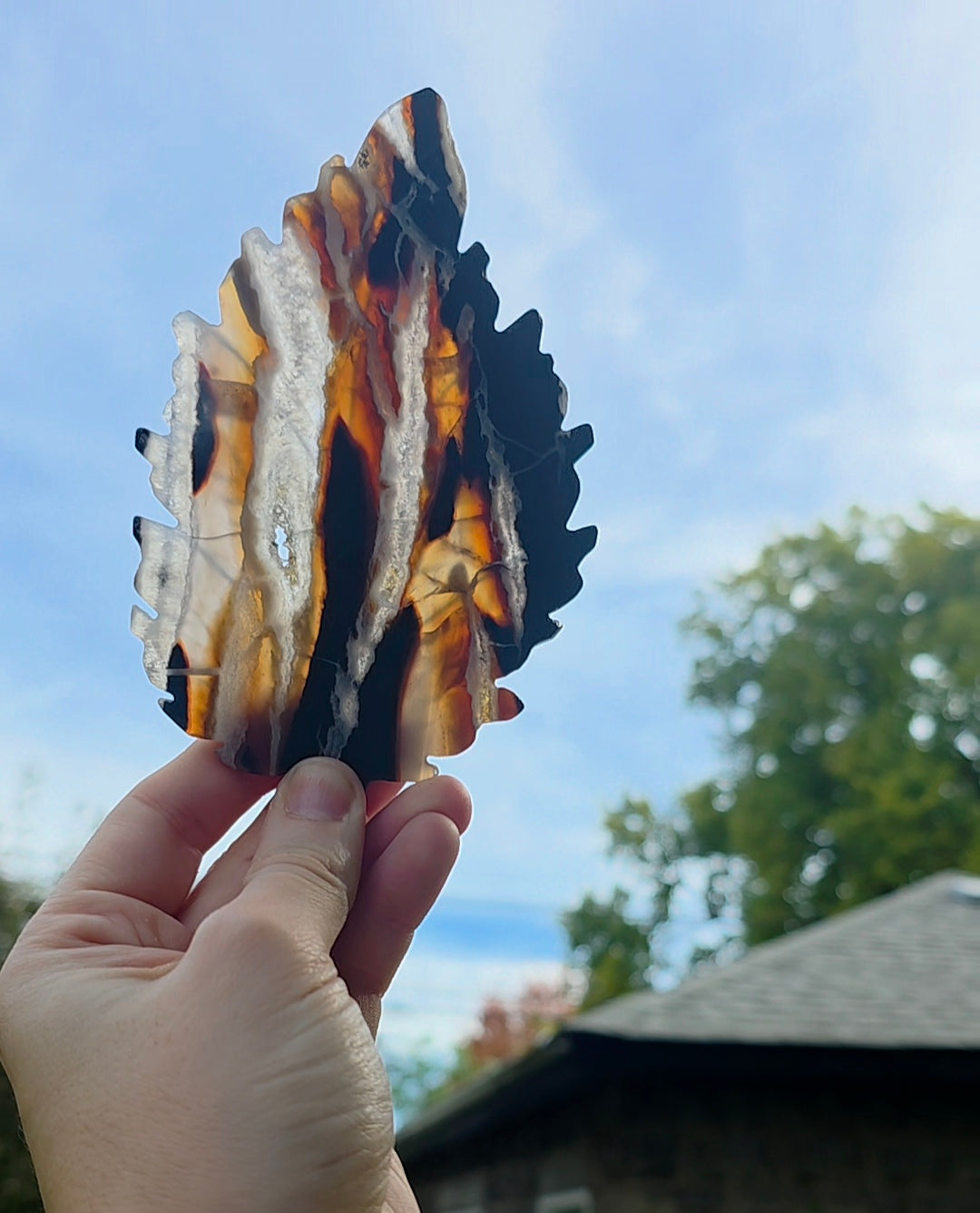 Druzy Agate Leaf on Stand