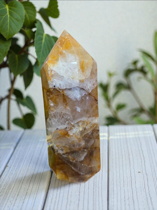 Golden Healer Tower D