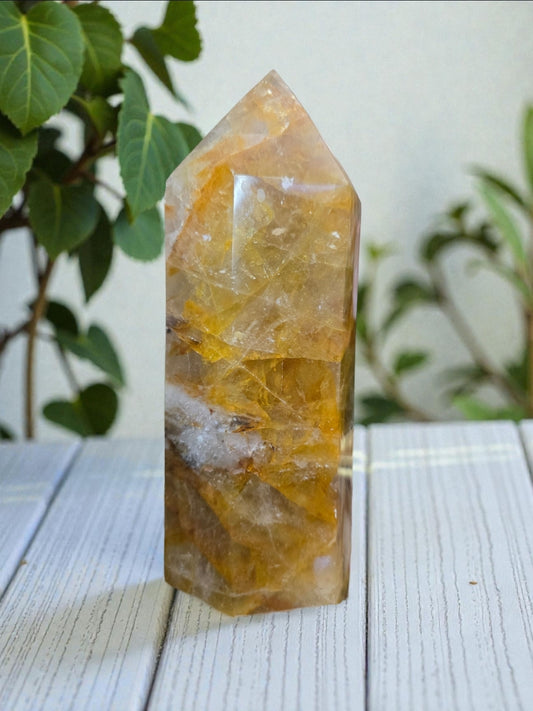 Golden Healer Tower D