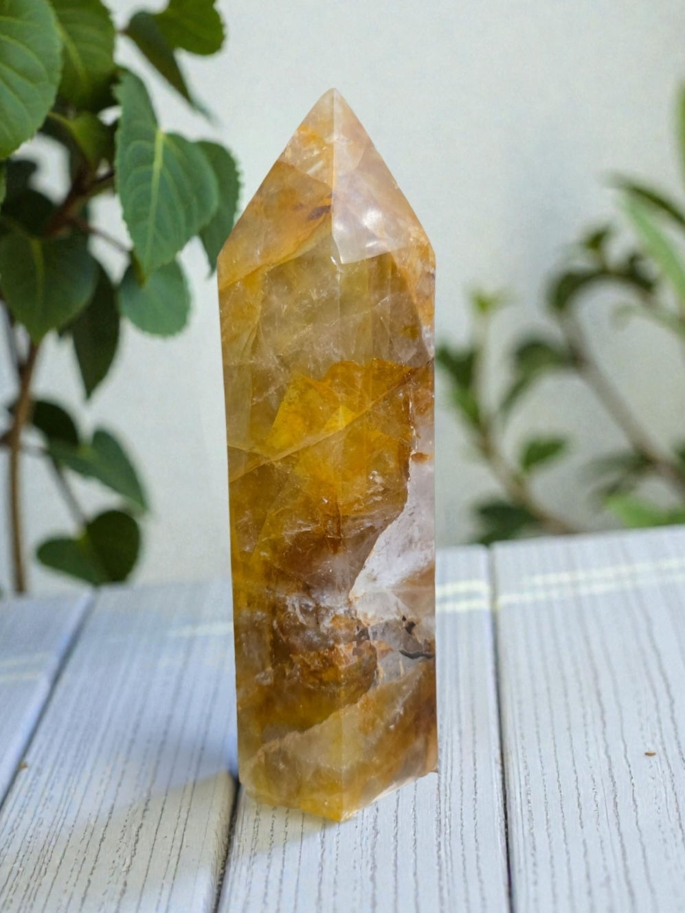 Golden Healer Tower D