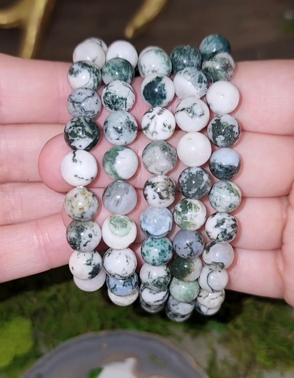 8mm Tree Agate Bracelet