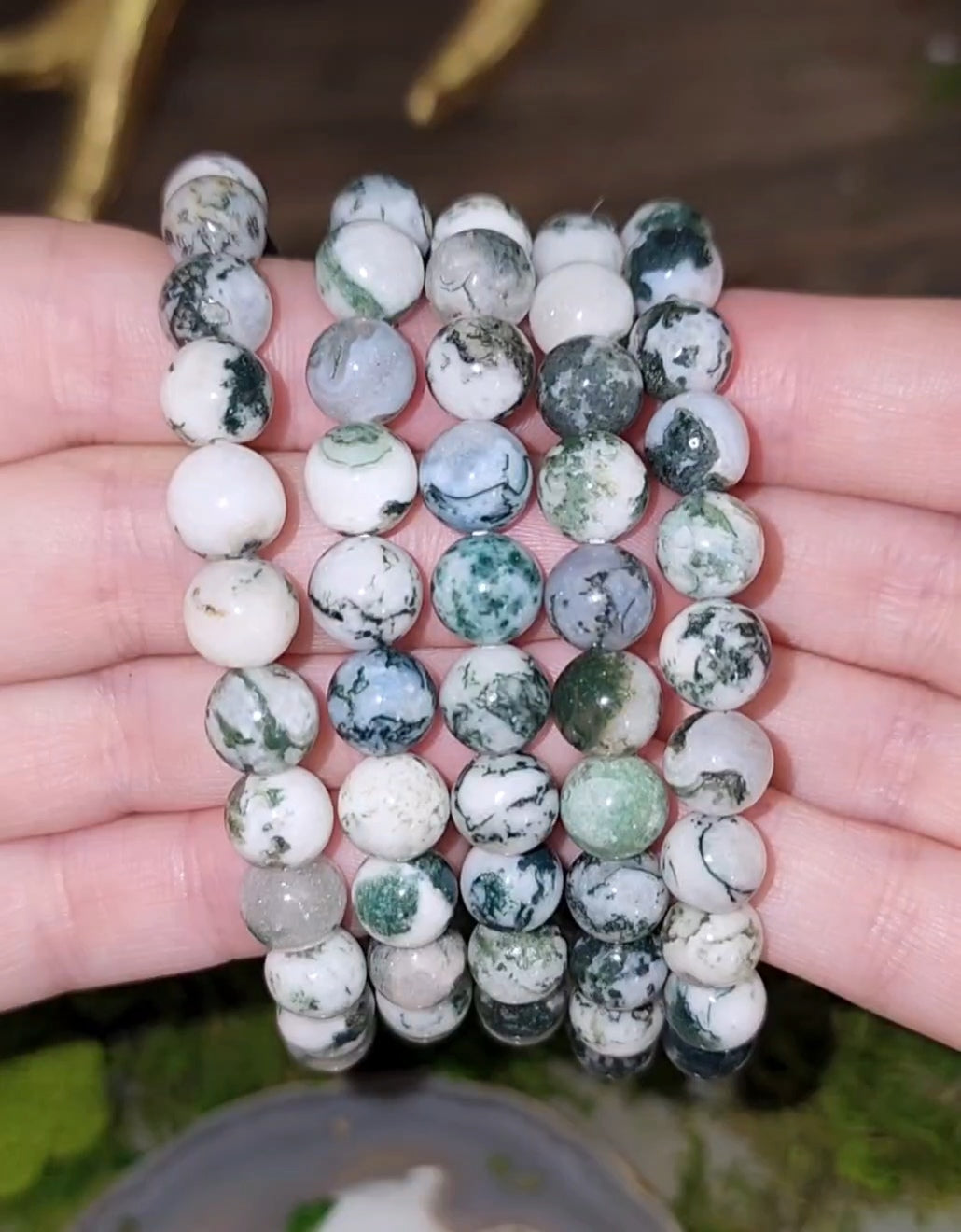 8mm Tree Agate Bracelet