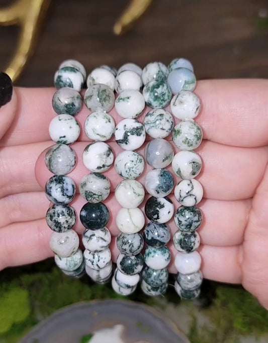 8mm Tree Agate Bracelet