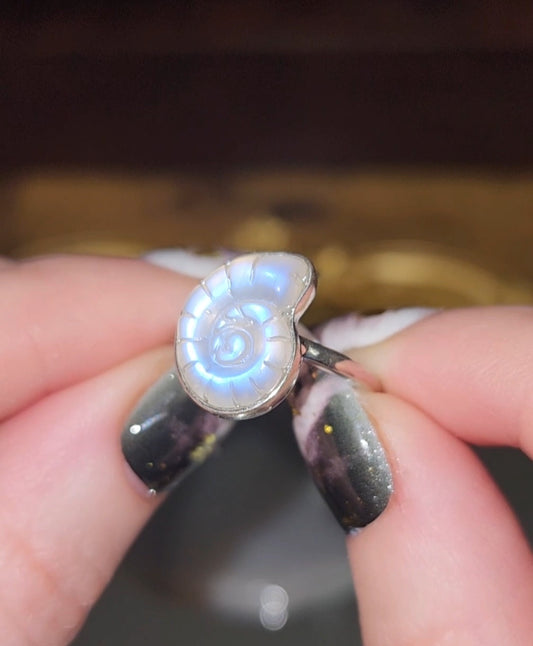 Rainbow Moonstone Shell Ring