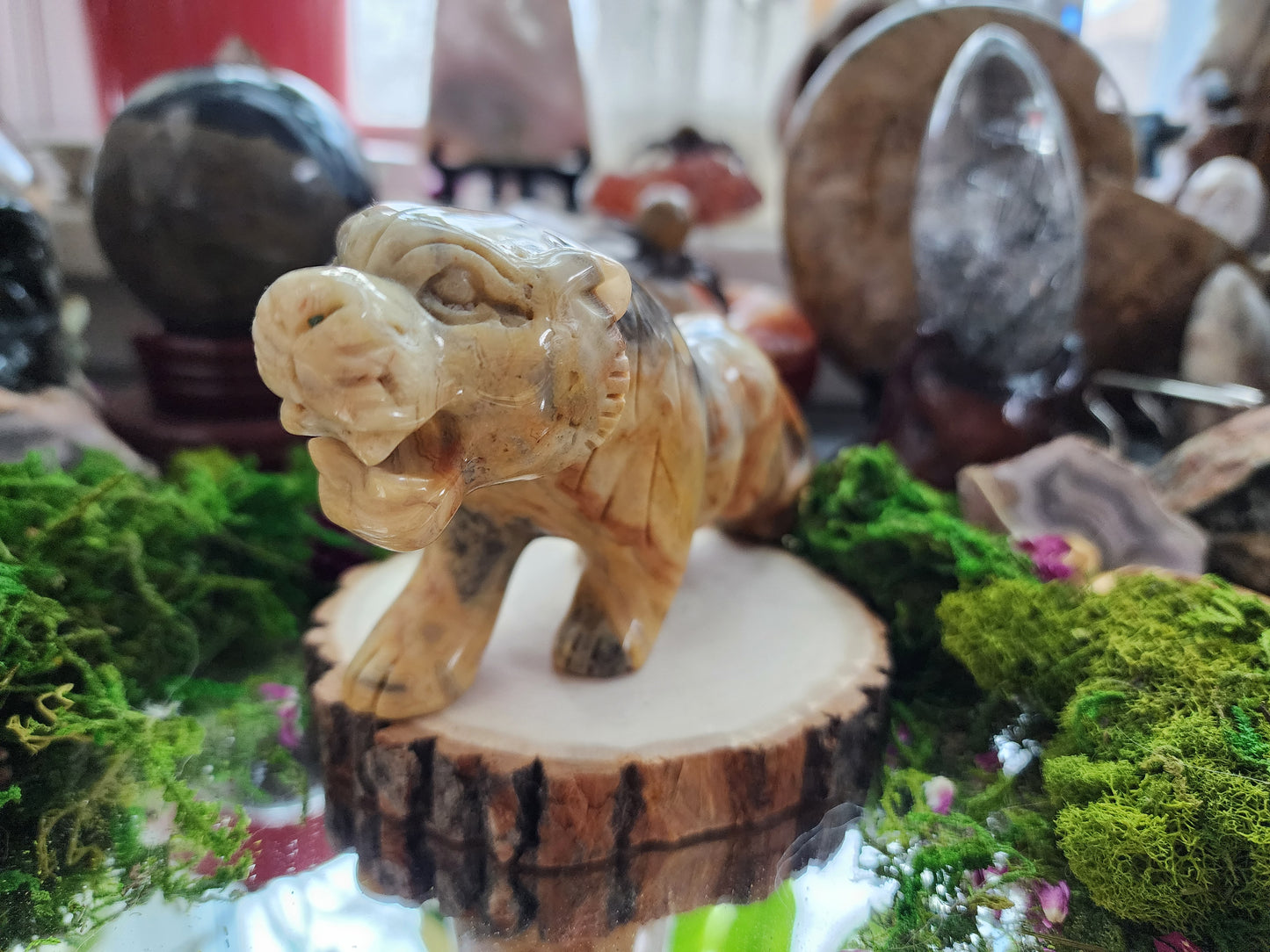 Mexican Crazy Lace Agate Tiger Carving