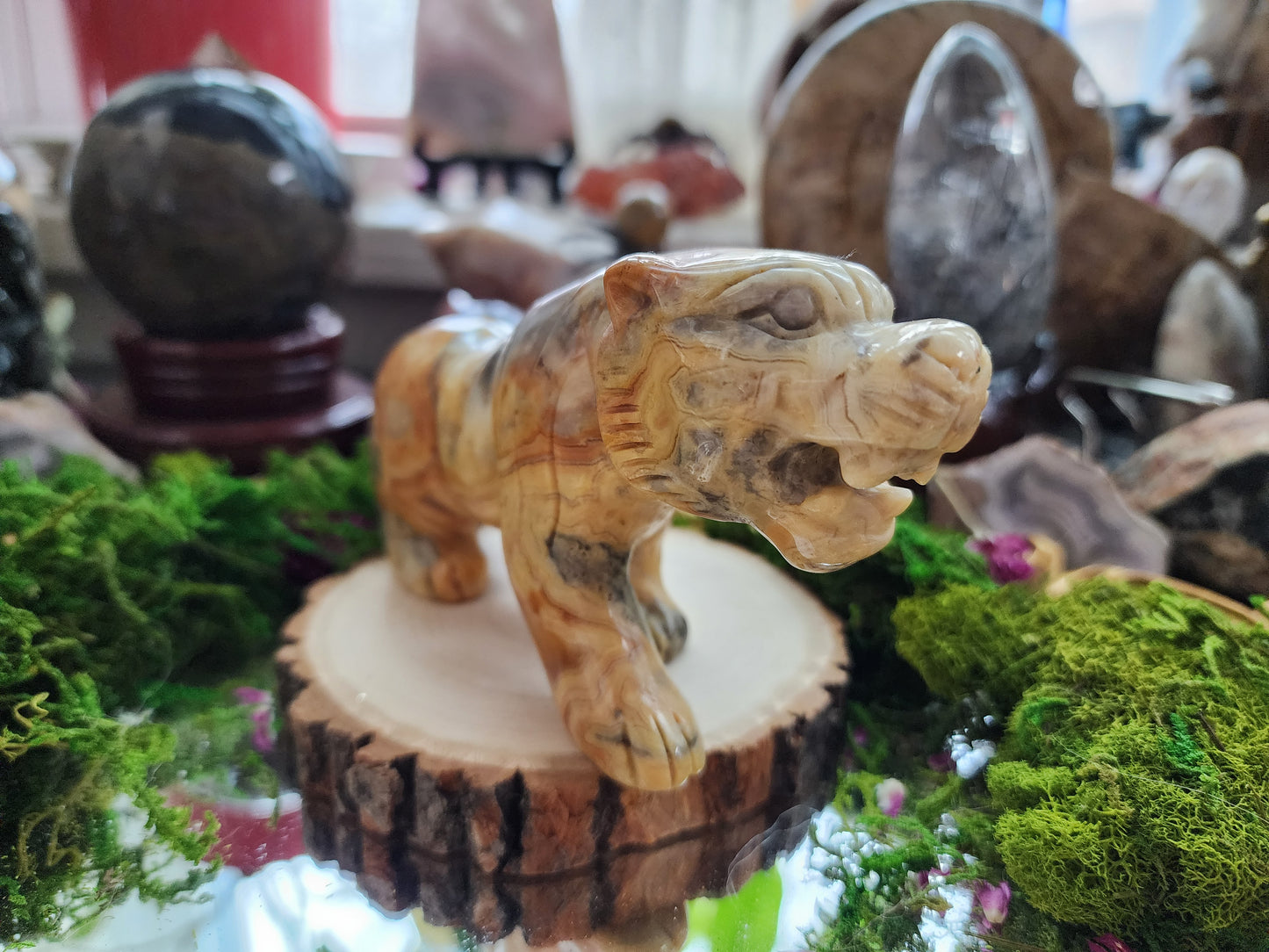 Mexican Crazy Lace Agate Tiger Carving