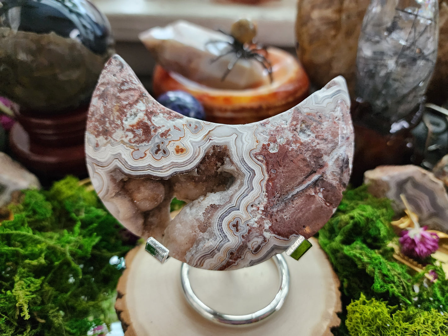 Mexican Crazy Lace Agate Moon