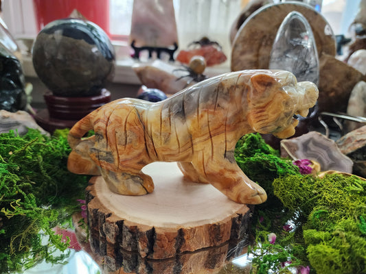 Mexican Crazy Lace Agate Tiger Carving