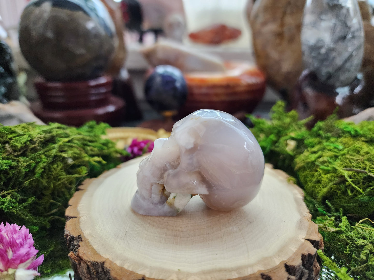 Flower Agate Skull