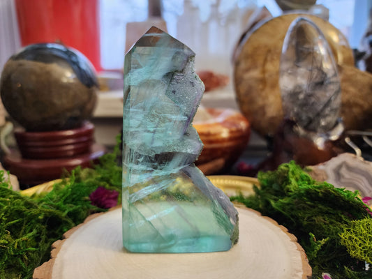 Fluorite Raw Spine Point